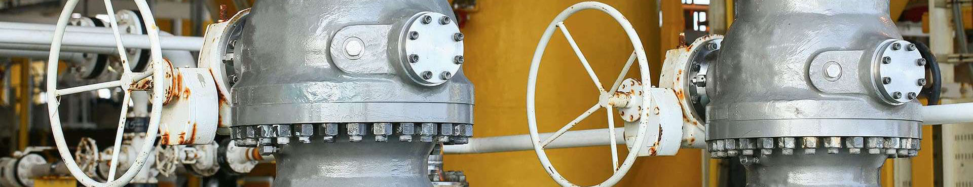 OEM Custom Valve Solutions