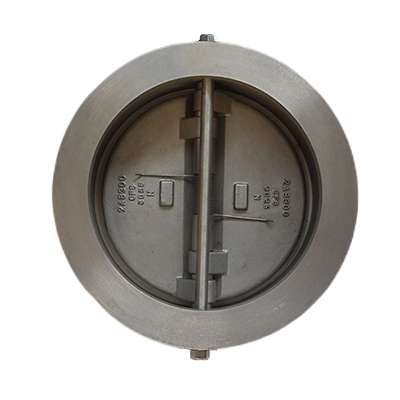 Check Valve