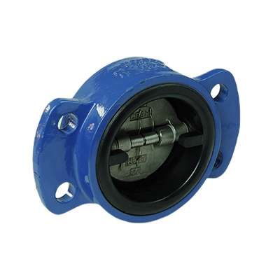 Check Valve